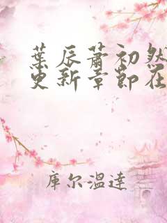 叶辰萧初然最新更新章节在线阅读