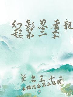 幻影忍者龙之崛起第二季