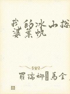 我的冰山总裁老婆叶帆