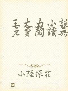 王大力小说小说免费阅读无弹窗