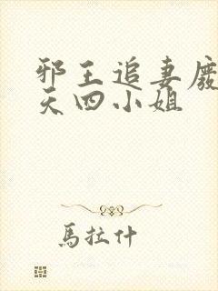 邪王追妻废材逆天四小姐