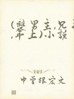 (双男主,兄弟,年上)小说