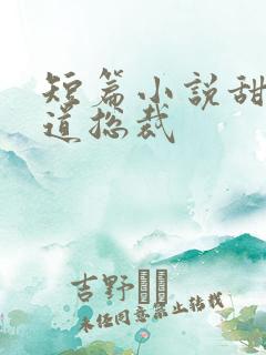 短篇小说甜文霸道总裁