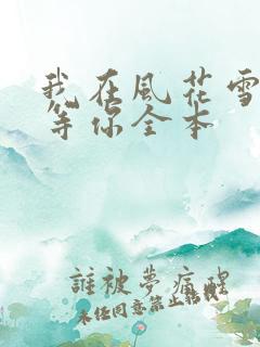 我在风花雪月里等你全本
