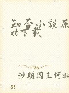 知否小说原著txt下载