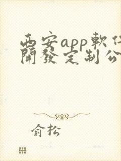 西安app软件开发定制公司