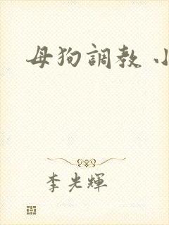 母狗调教 小说
