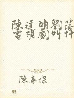 陈道明刘蓓演的电视剧叫什么名字