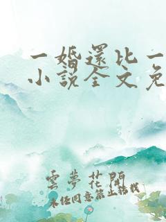 一婚还比一婚高小说全文免费阅读