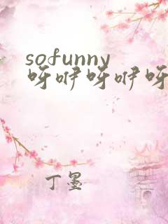sofunny呀咿呀咿呀是什么歌名