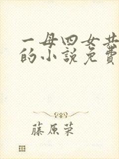 一母四女共一婿的小说免费阅读