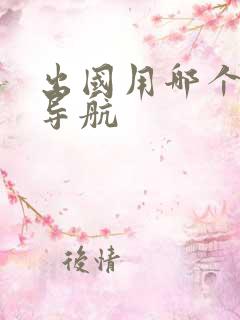 出国用哪个地图导航