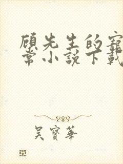 顾先生的宠妻日常小说下载