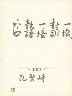 外教一对一英语口语培训机构