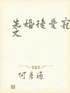 先婚后爱宠文甜文