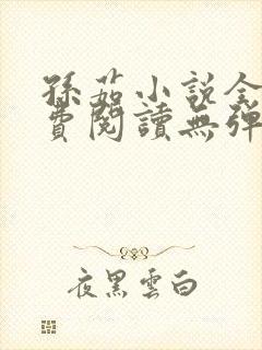 孙茹小说全文免费阅读无弹窗