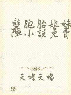 双胞胎姐妹齐上阵小说免费阅读