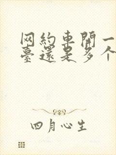 网约车开一个平台还是多个平台