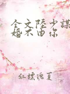 全文陆少谋妻之婚不由你