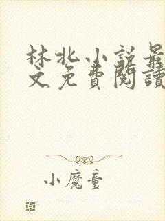 林北小说最新全文免费阅读