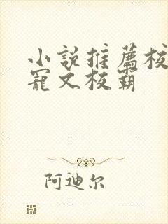 小说推荐校园甜宠文校霸