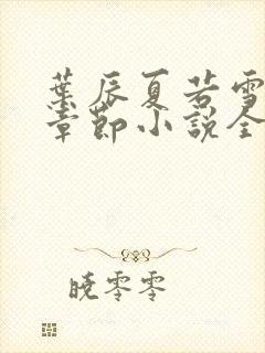 叶辰夏若雪最新章节小说全文免费阅读