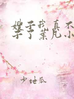 嫂子我真不是傻子了叶凡小说离线下载