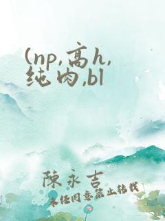 (np,高h,纯肉,bl