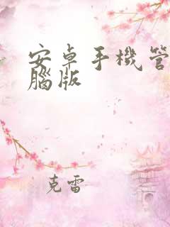 安卓手机管家电脑版