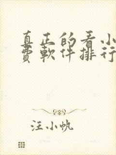 真正的看小说免费软件排行榜