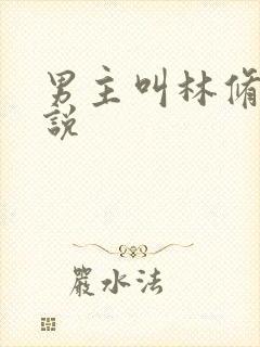 男主叫林修的小说