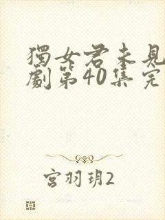 独女君未见电视剧第40集完整免费观看