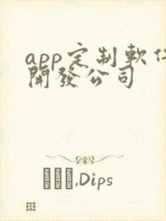 app定制软件开发公司