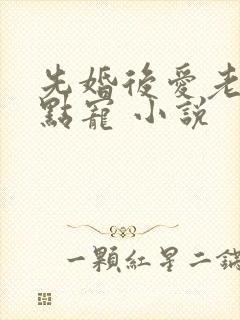 先婚后爱老公轻点宠 小说