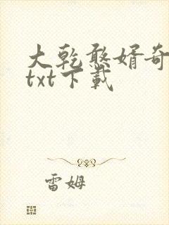 大乾憨婿奇书网txt下载