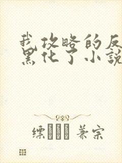 我攻略的反派都黑化了小说无弹窗