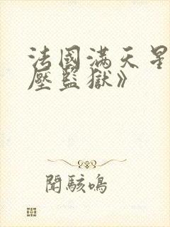 法国满天星《高压监狱》