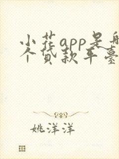 小花app是哪个贷款平台的