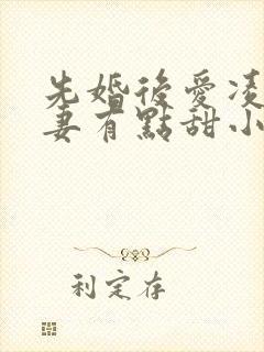 先婚后爱凌总追妻有点甜小说