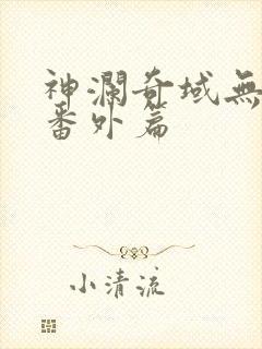 神澜奇域无双珠番外篇