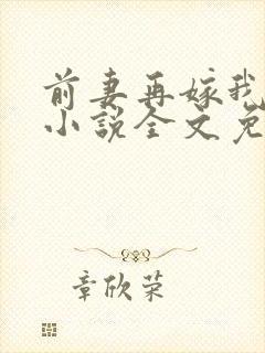 前妻再嫁我一次小说全文免费阅读