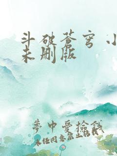 斗破苍穹 小说未删版