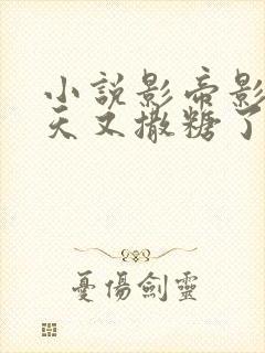 小说影帝影后今天又撒糖了txt