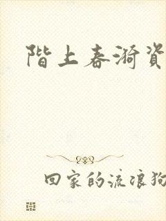 阶上春漪资源