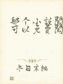 那个小说阅读器可以免费阅读