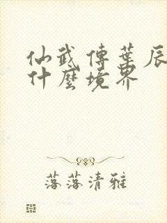 仙武传叶辰最后什么境界