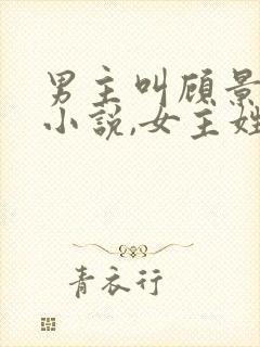 男主叫顾景琛的小说,女主姓慕