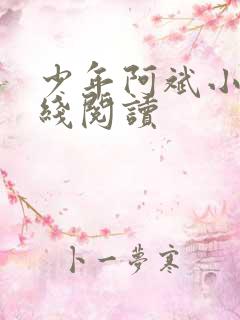 少年阿斌小说在线阅读