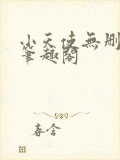 小天使无删减版笔趣阁