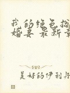 我的绝色总裁未婚妻 最新章节